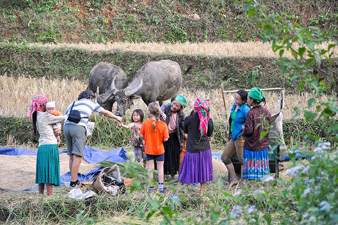 Family Tours