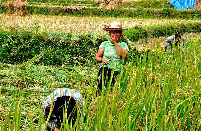 Hidden trails of Ba Be national park, H'mong village