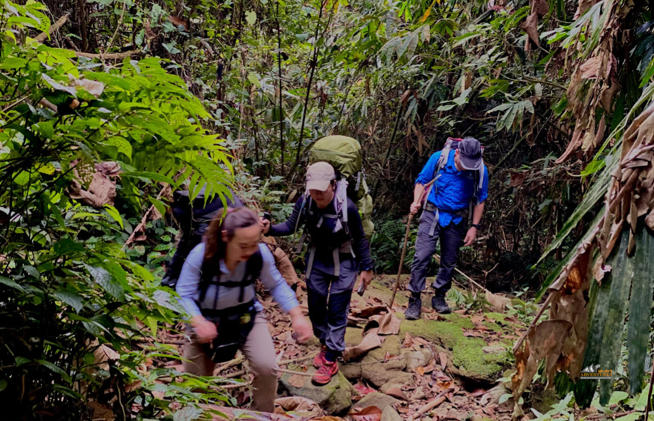 Medium trek: Jungle Life in Ba Be National Park 2 days