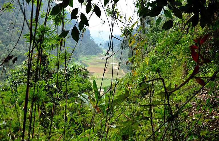 Beautiful valley in Ba Be National Park