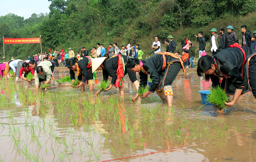  LONG TONG FESTIVAL, LAM SONCOMMUNE, NARY SUBURBAN DISTRICT