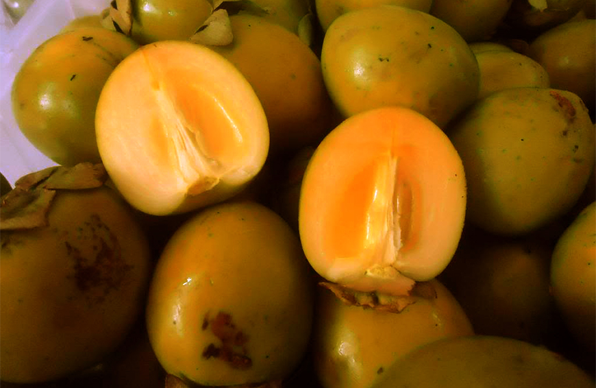  SEEDLESS PERSIMMON