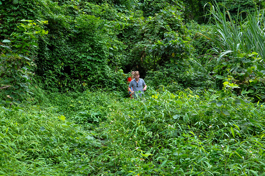 trek-dau-dang