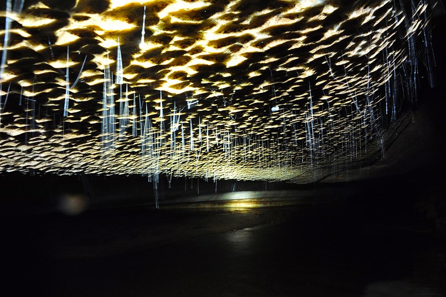 Water spider web on the cave ceiling