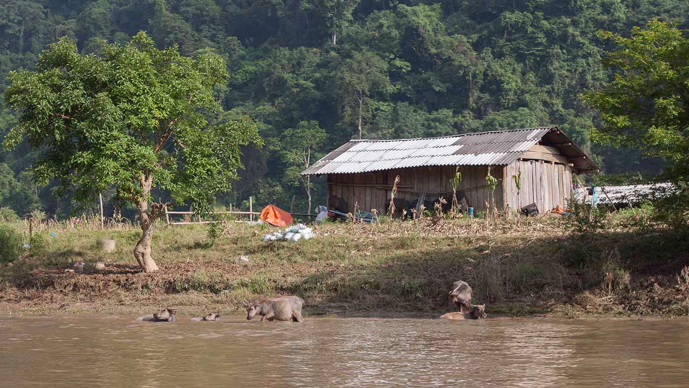 Living Off the Land at Ba Be National Park