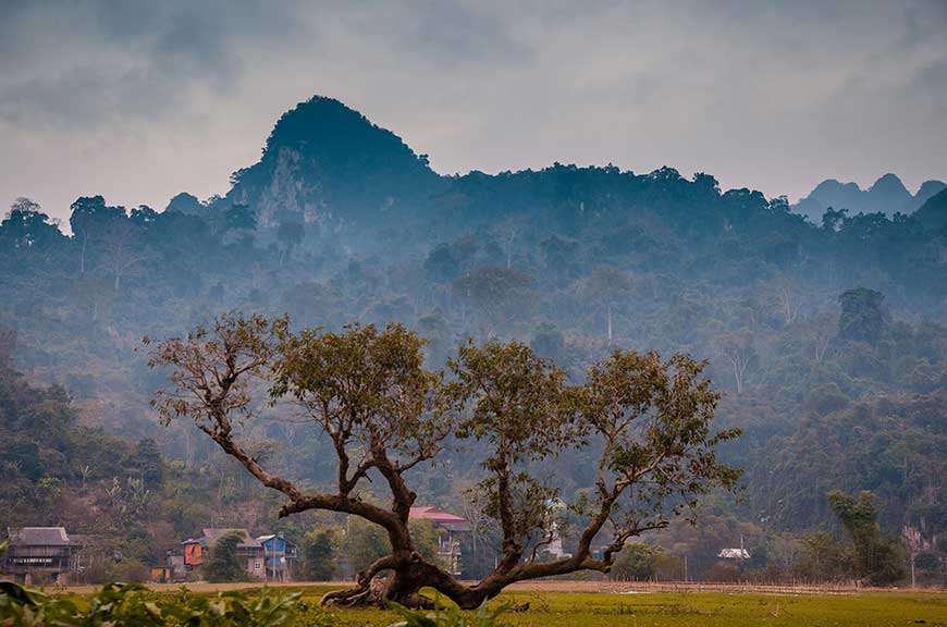 Ba Be National Park